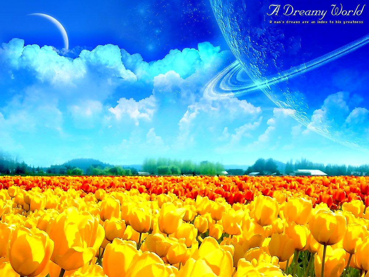 Brillant avenir, fleurs, papiers peints jaunes, tulipe, printemps — photo pour fond d'écran