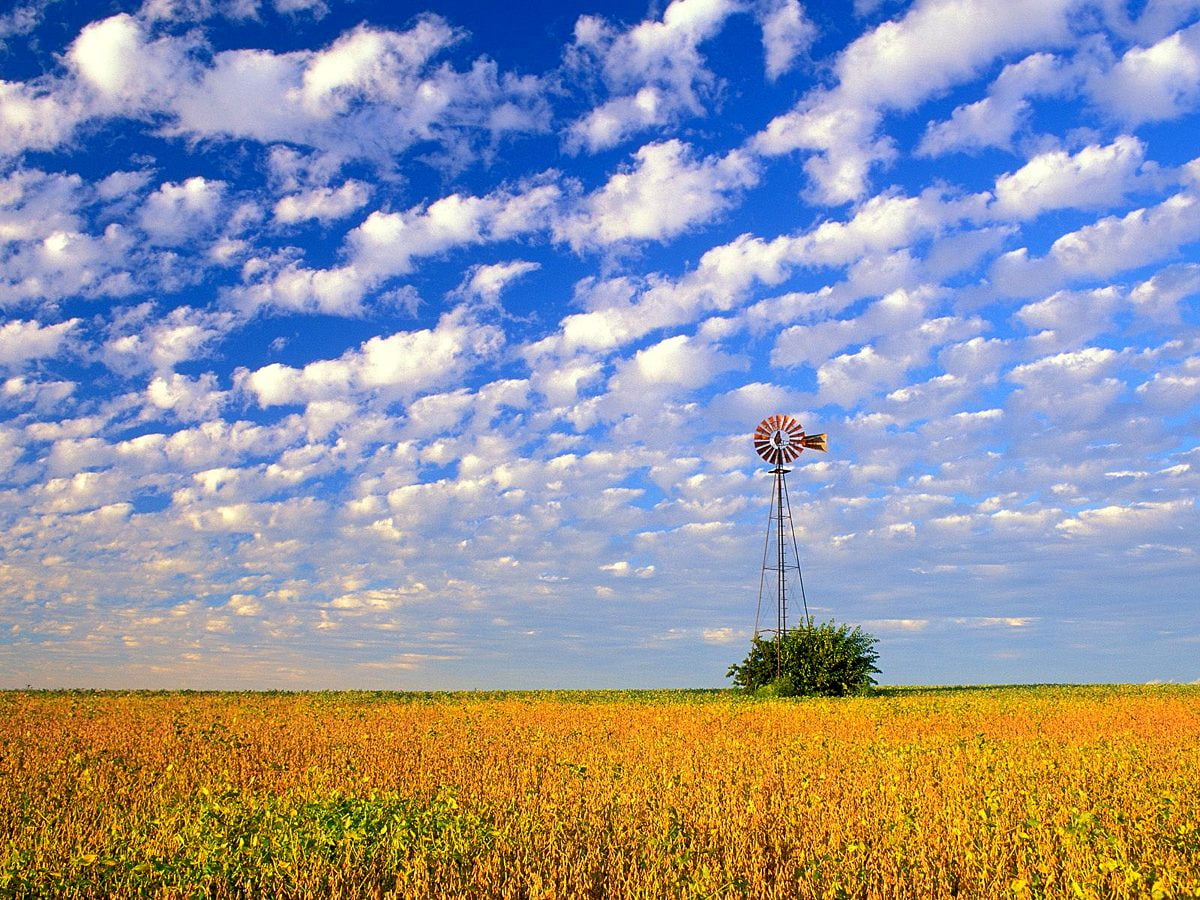 Illinois Field Nature Background Free Best Images