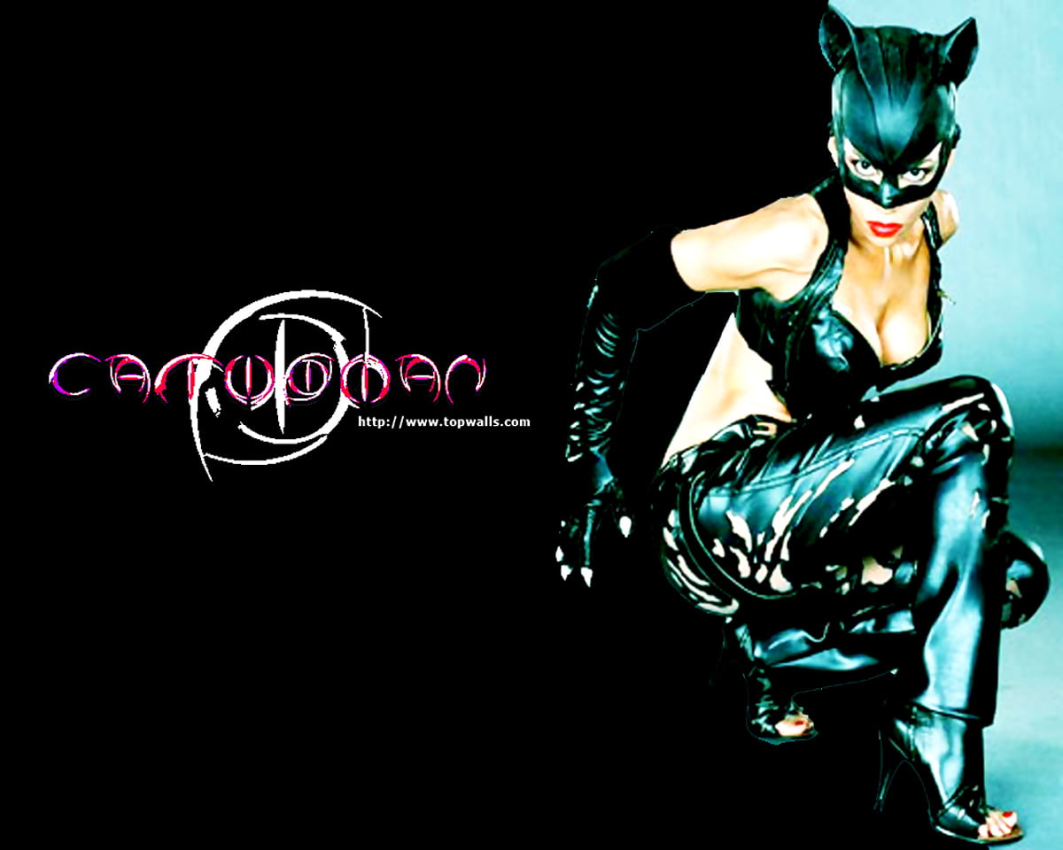 Catwoman, danse, dessins animés, Super-vilain, conception graphique (scène du film "Catwoman") - photo pour fond d'écran 1280x1024