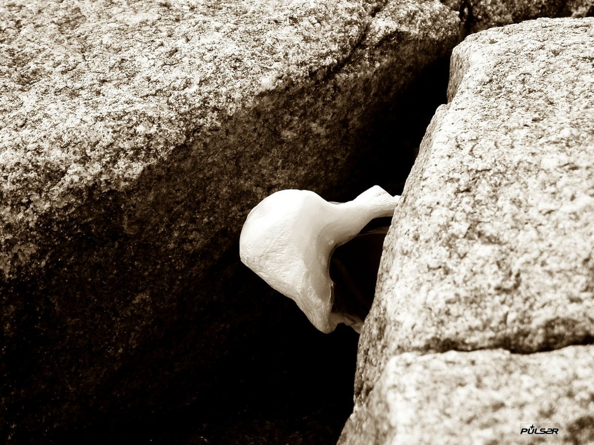 160+ Cave wallpapers HD | Download Free backgrounds