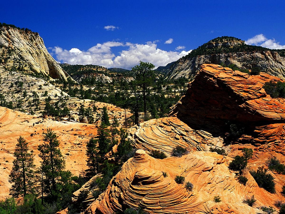 Canyon et montagne (Parc national de Zion, Utah, États-Unis d'Amérique) - gratuit images de fond 1600x1200