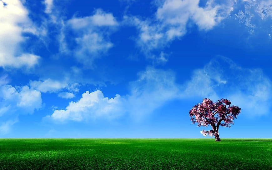 Cool wallpaper Nature, Blue, Field | FREE Download backgrounds