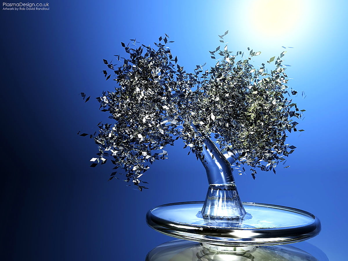570+ Best Still life wallpapers HD 🔥 Download Free images