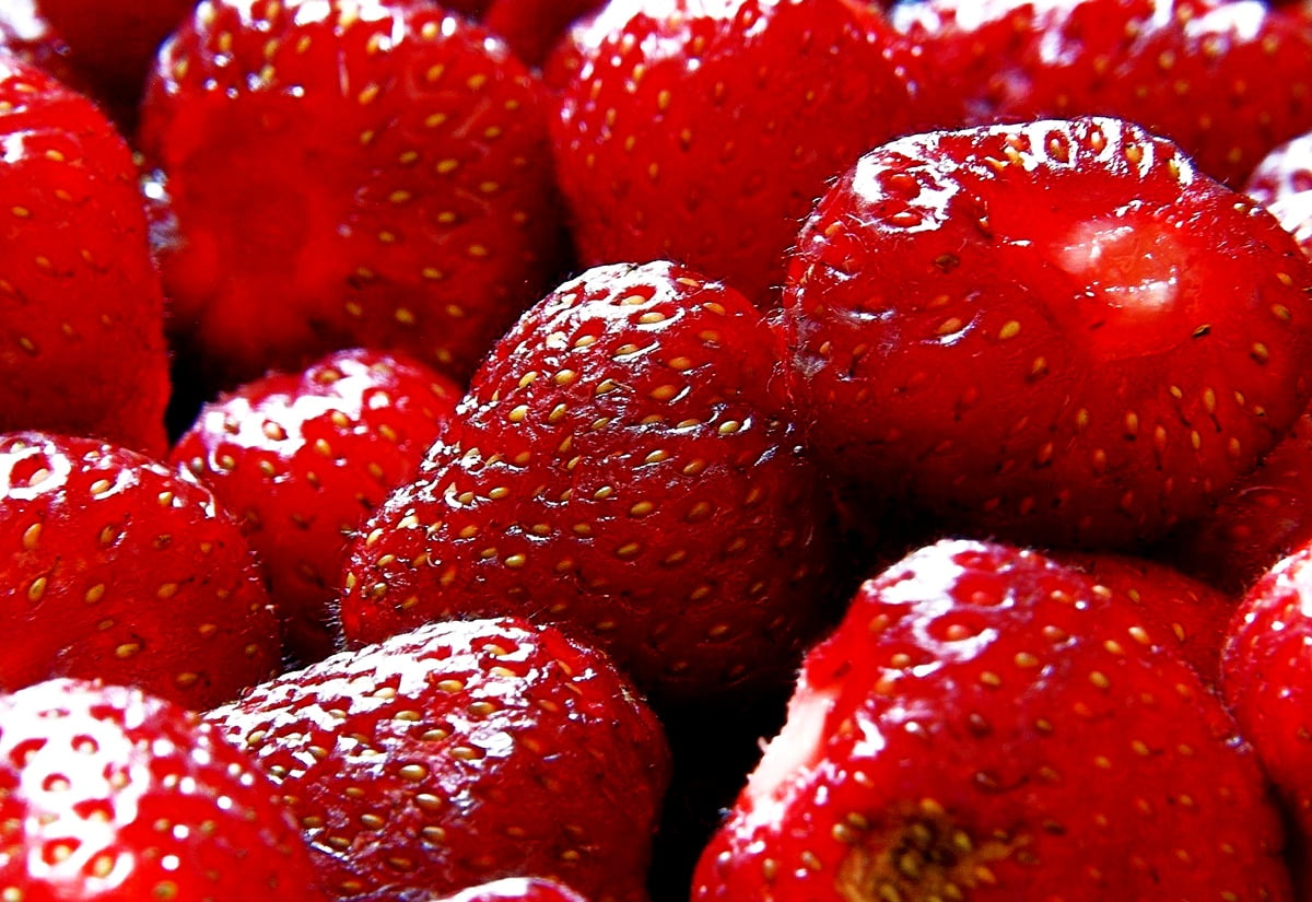 Strawberry Beers Forever  FREE Desktop Wallpaper Download  Southern Flair