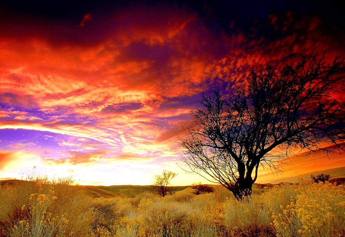 Computer Advertisement Download Himmel, Natur, Skyer baggrund | Download baggrundsfoto