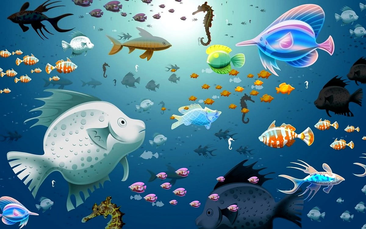 L'eau, aquarium, poisson, Monde sous marin, récif — HD fond d'écran 1600x1000