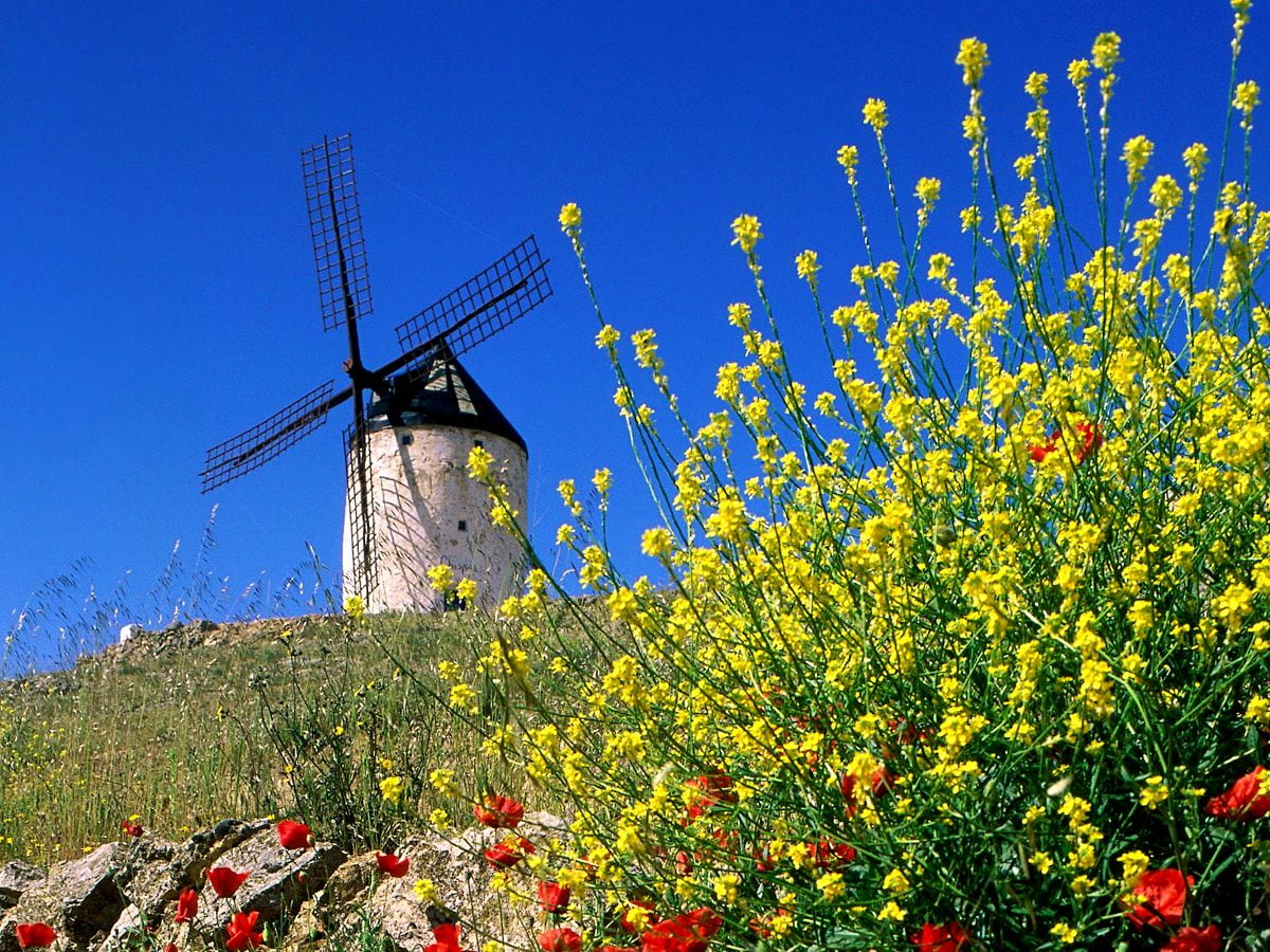 Gratuit photos d'arrière-plan HD - Moulin à vent, canola, fleur sauvage, domaine, fleurs (Espagne) 1600x1200