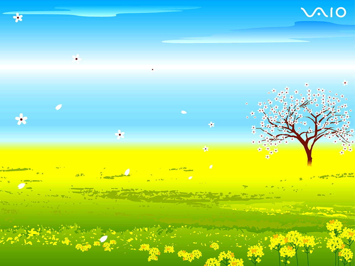 Sony Vaio, Nature, Yellow wallpaper 🔥 Download Free backgrounds