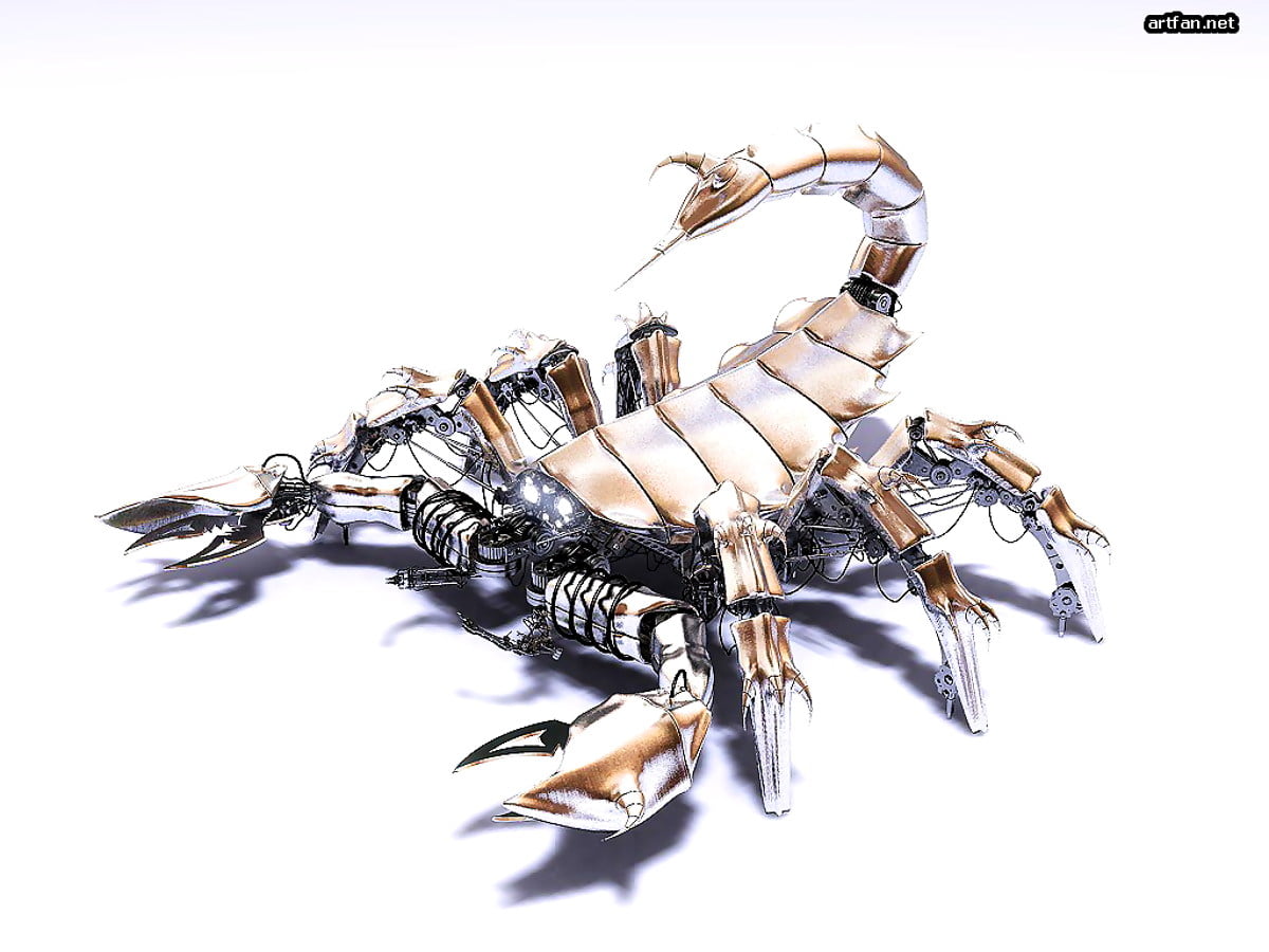 1,300+ Scorpion Tattoo Stock Photos, Pictures & Royalty-Free Images -  iStock | Virgin, Scorpions, Crab