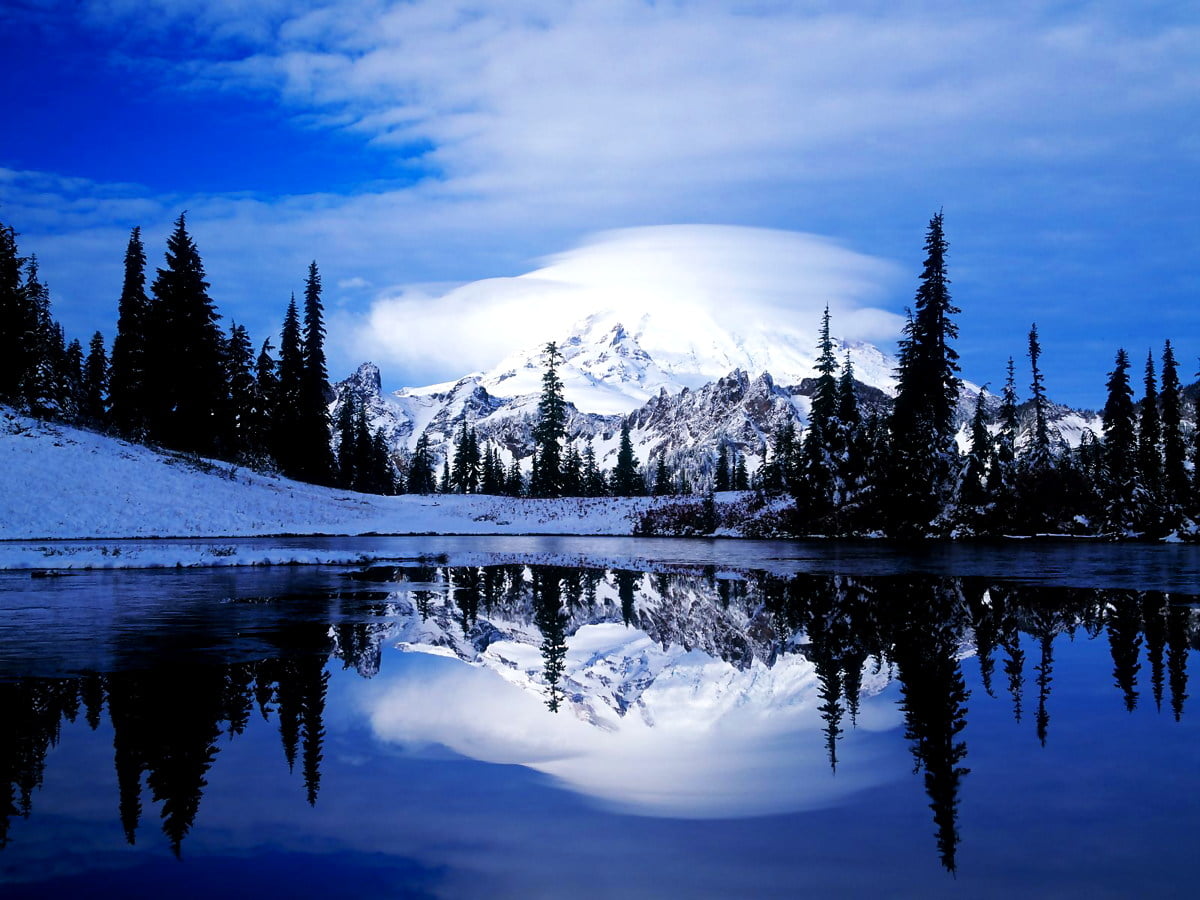 910+ Snow wallpapers phone | Download Free backgrounds