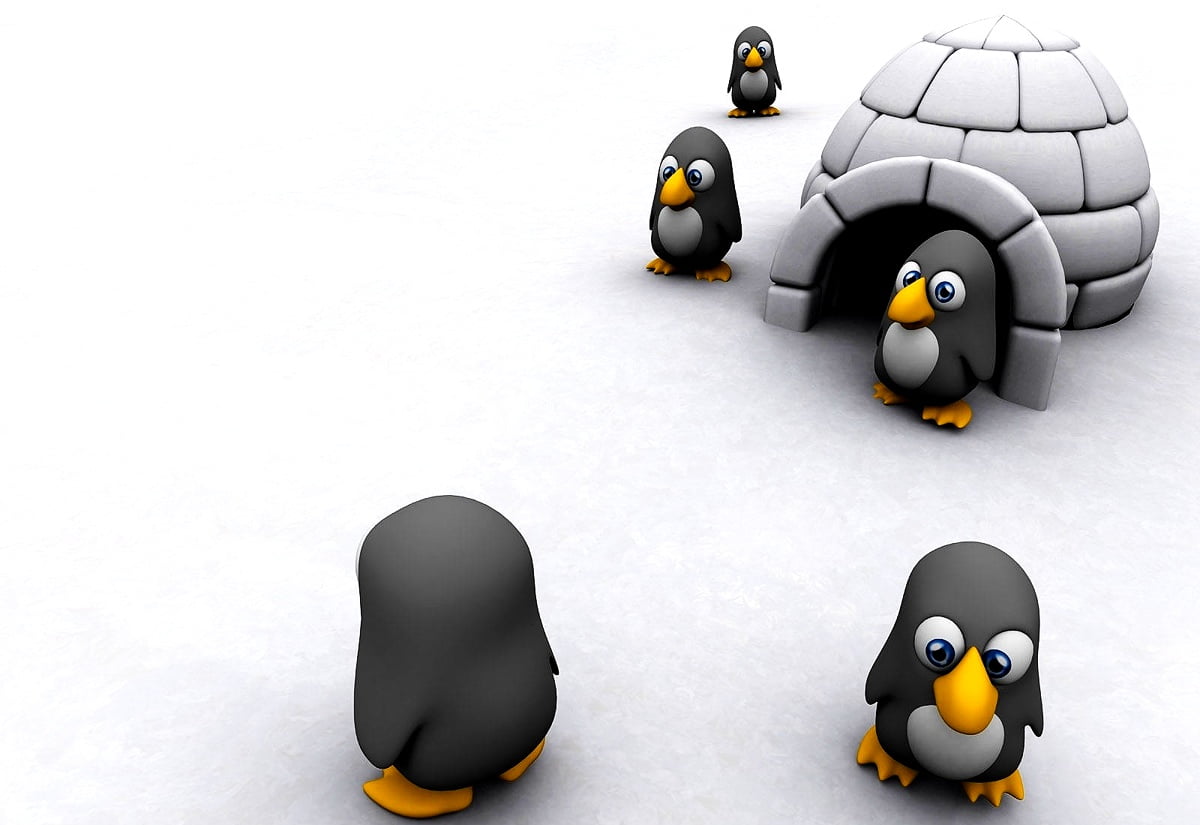 3D, Penguin, Cartoons wallpaper | Download Free wallpapers