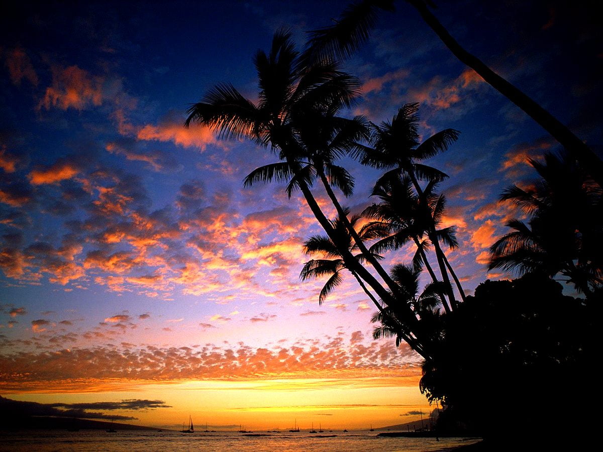 50+ Hawaii wallpapers HD | Download