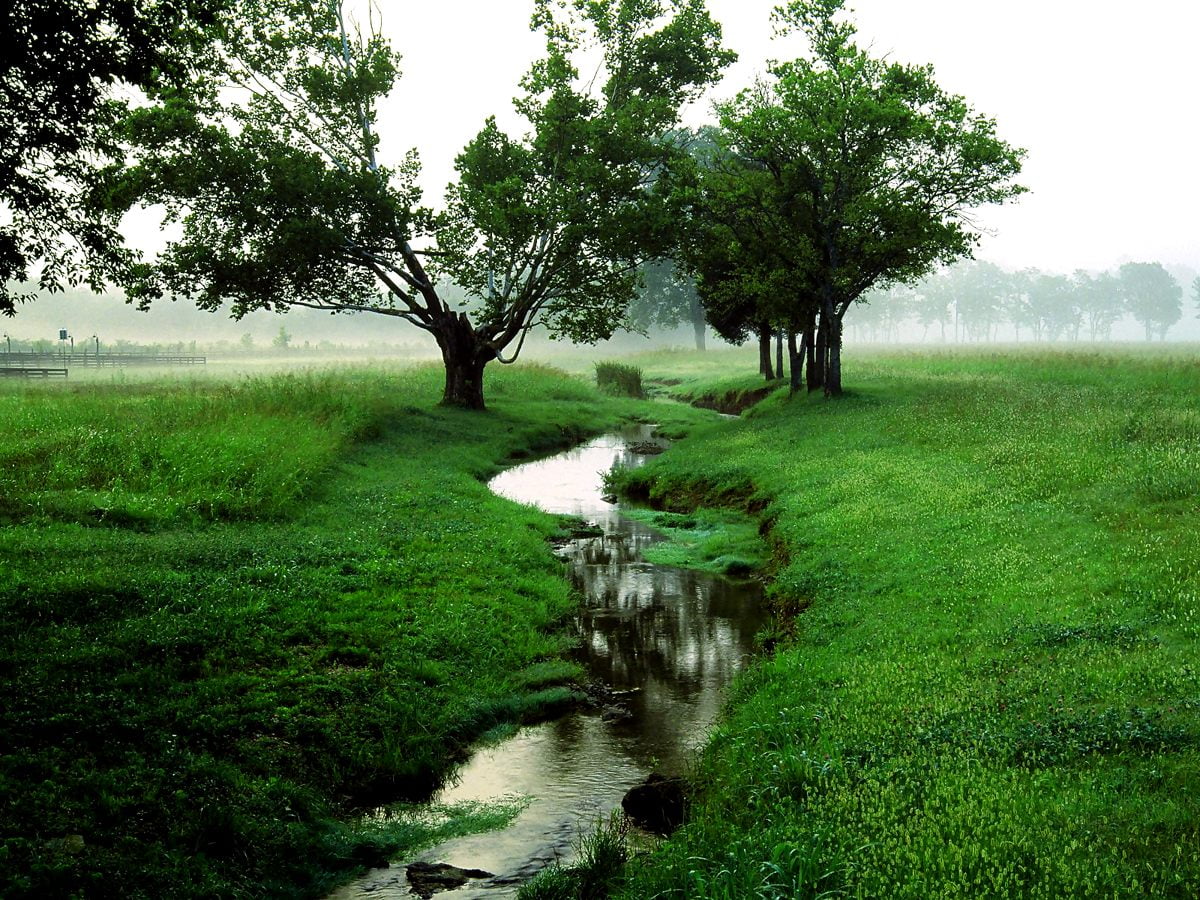 Sjove Natur, Grønne, Mark billede til baggrund | Download Gratis Bedste ...