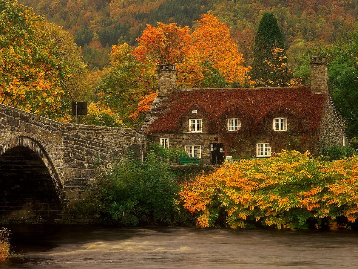 Wallpaper Paisaje De Otoño, Naturaleza, Río | Descargar Imagen de Fondo ...