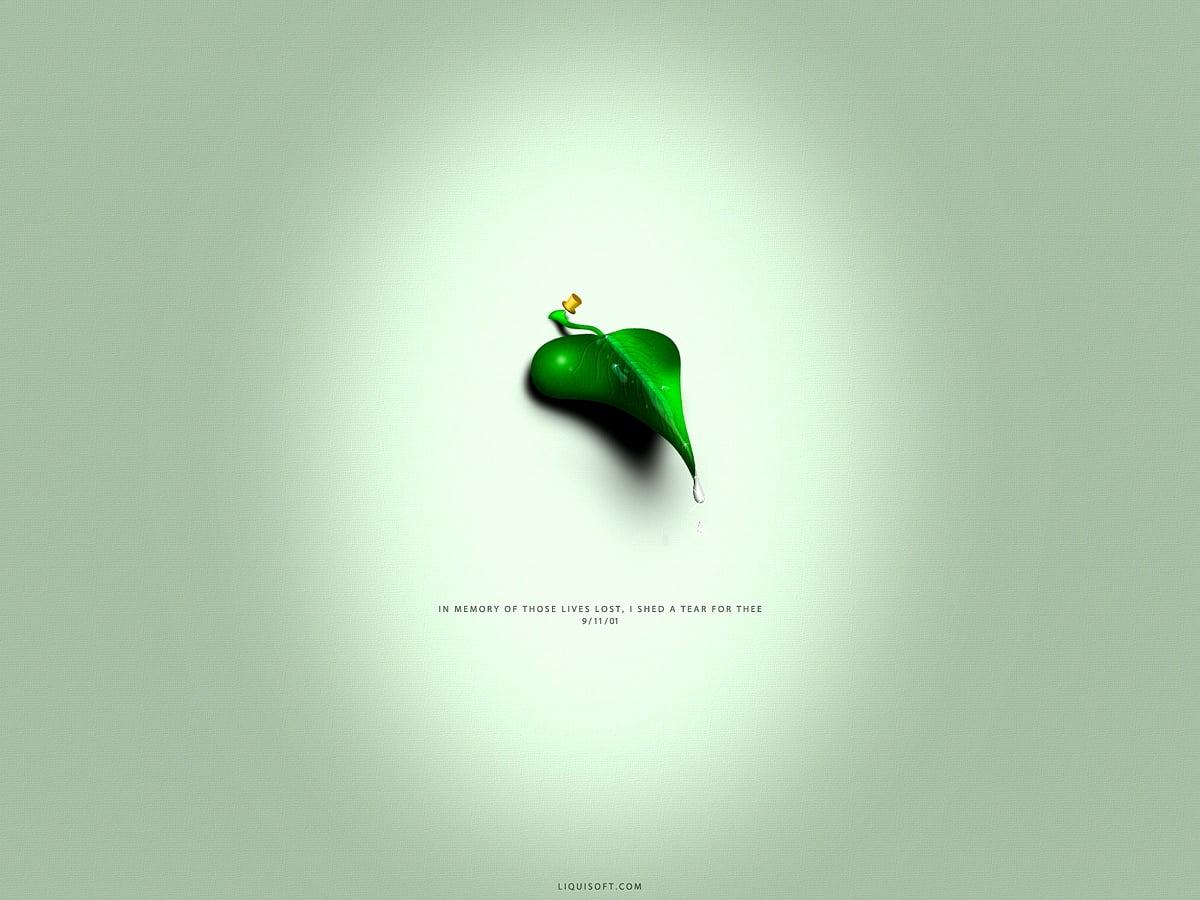 1600x1200 fond d'écran - photos réalistes, verts, art numérique, fruits, logo
