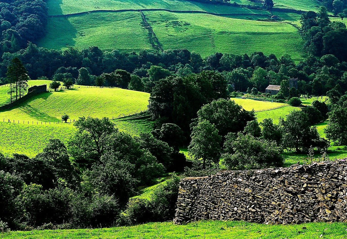 Baggrund Grønne, Natur, Bakke | Download Bedste baggrund