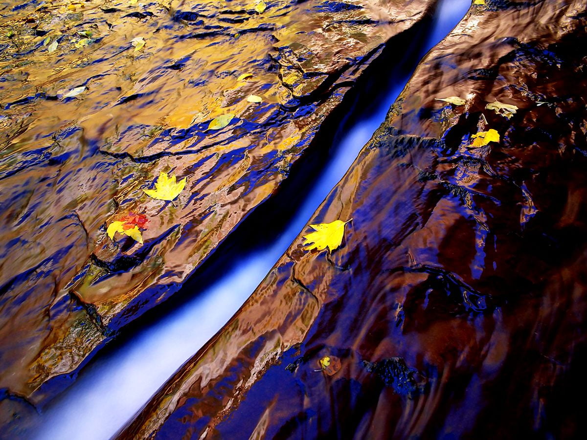 Nature, rochers, papiers peints jaunes, géologie, papiers peints en bois — gratuit image d'arrière-plan 1600x1200