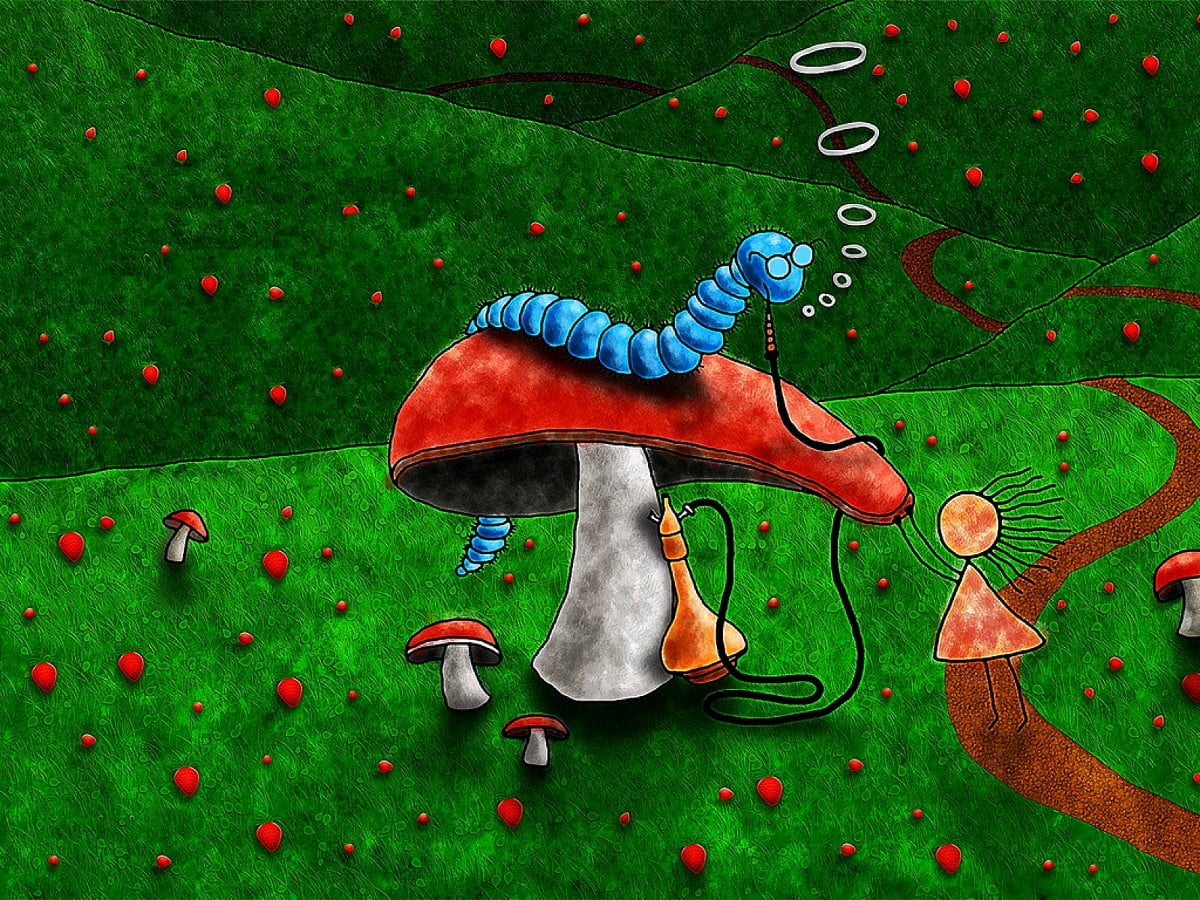 Fantasy Landscape House Mouse Mushroom Turtle HD wallpaper   Wallpaperbetter