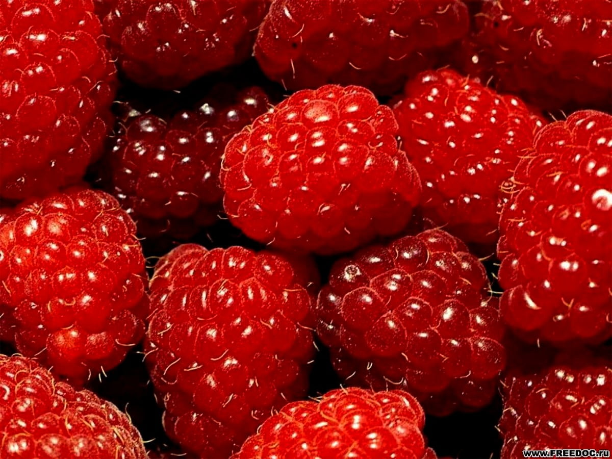 Fruit dessert , berries, strawberry, fruits, food — backgrounds