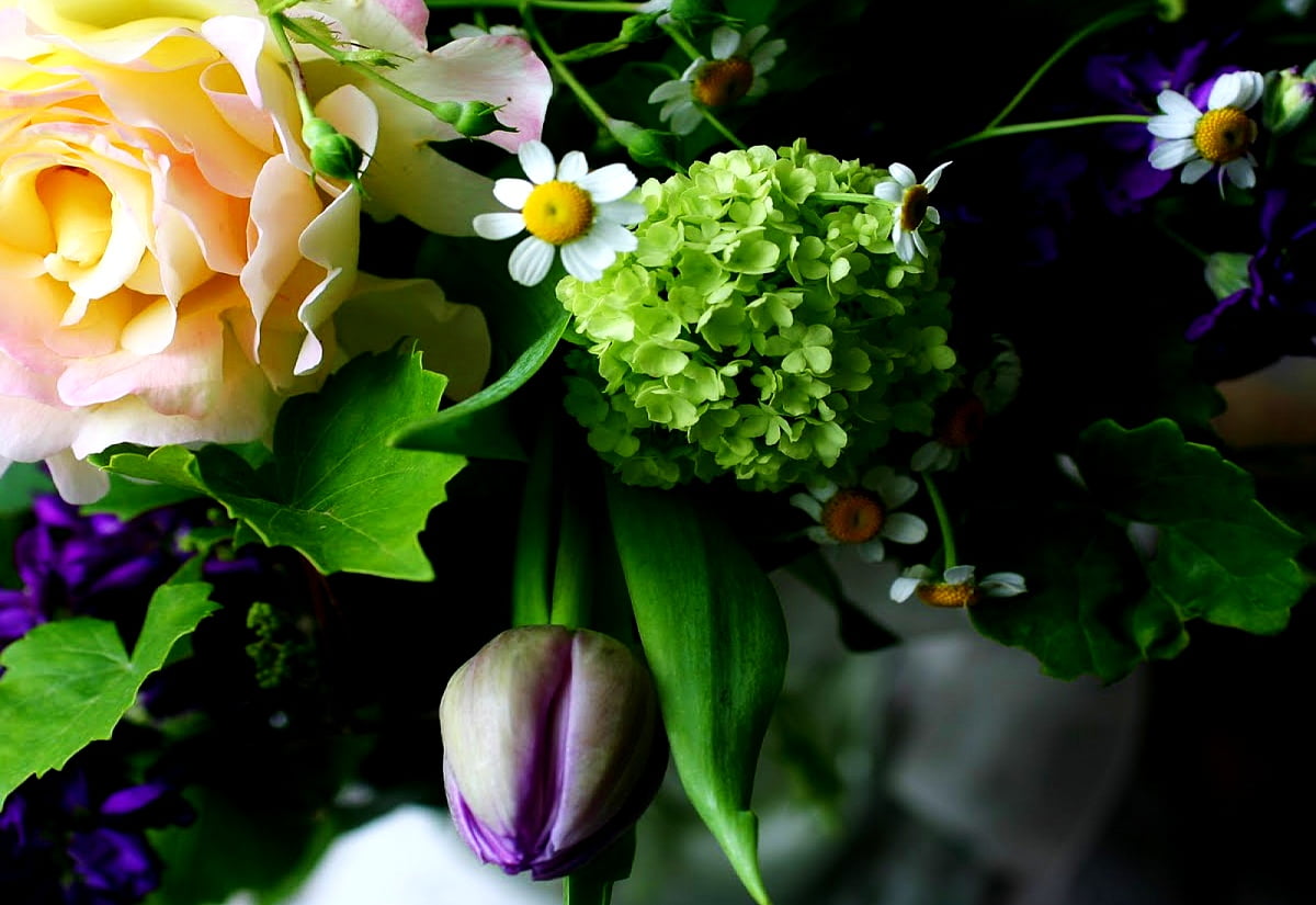 Fleurs, bouquet, fleuristerie, mode, fleurs coupées — image de fond