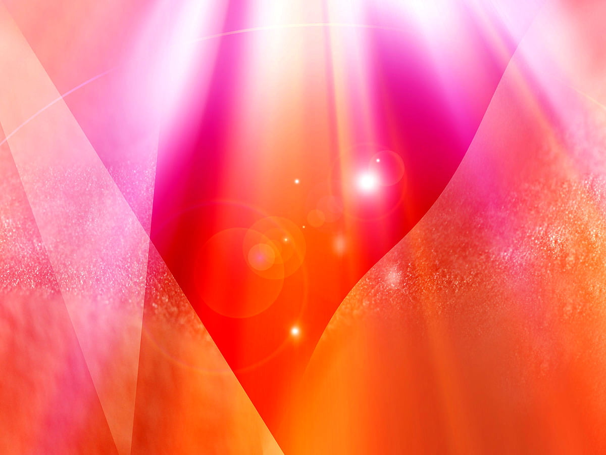 Abstract, tenderness, pink, petal, orange : background image