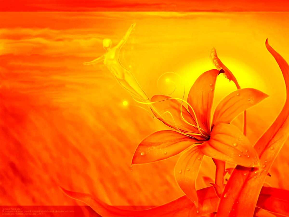 Fond d'écran - art numérique, orange, papiers peints jaunes, pétale, fleurs