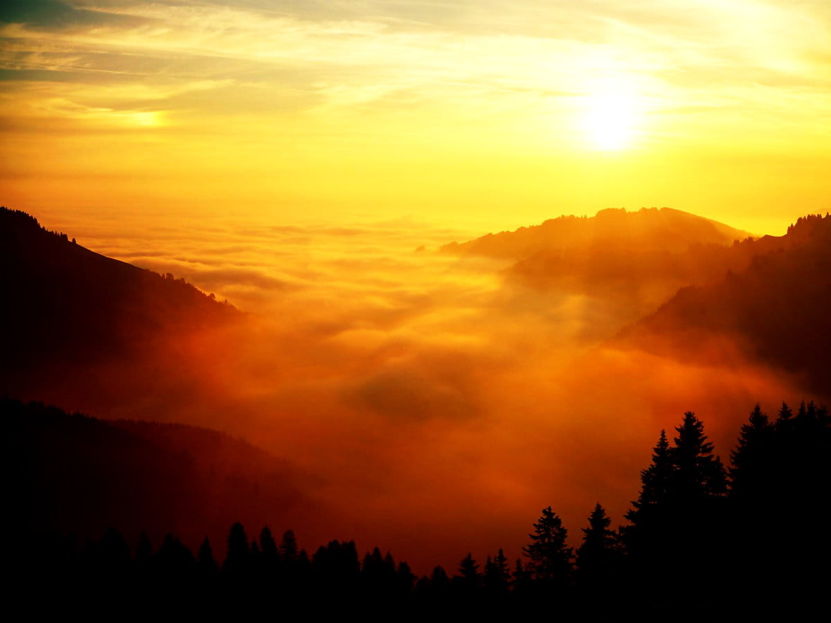 490+ Sol baggrunde HD | Download Gratis Baggrundsbilleder