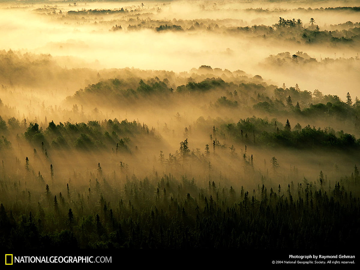 Lieux avec âme, Nat Geo, National Geographic, nature, brouillard : gratuit fond d'écran 1024x768
