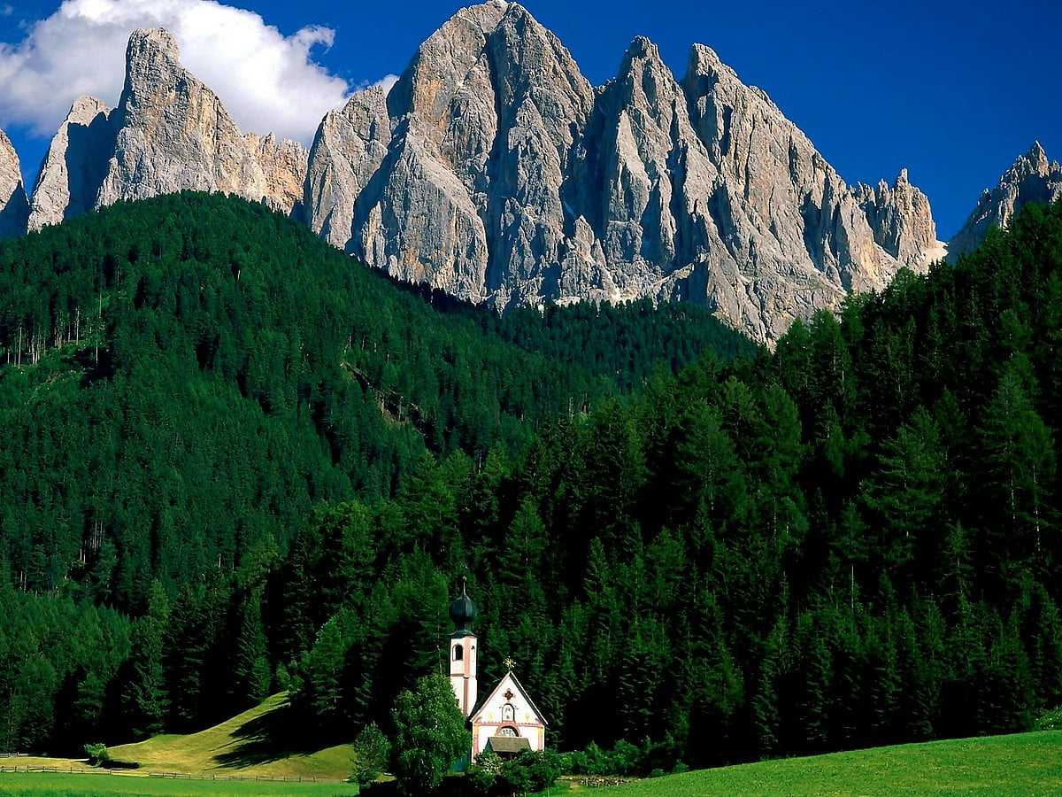 Hillside and trees and Dolomites (Italy) - HD background