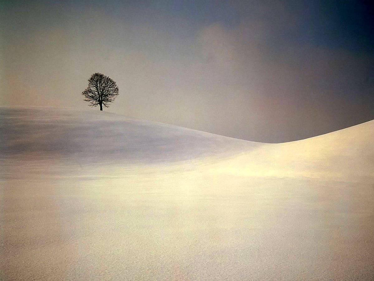 Brouillard, nature, nuages, calme, montagnes (Suisse) - gratuit images de fond 1600x1200