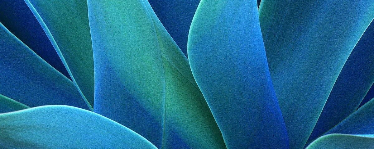 Photo d'arrière-plan - bleus, pour deux moniteurs, verts, papiers peints abstraits, agave