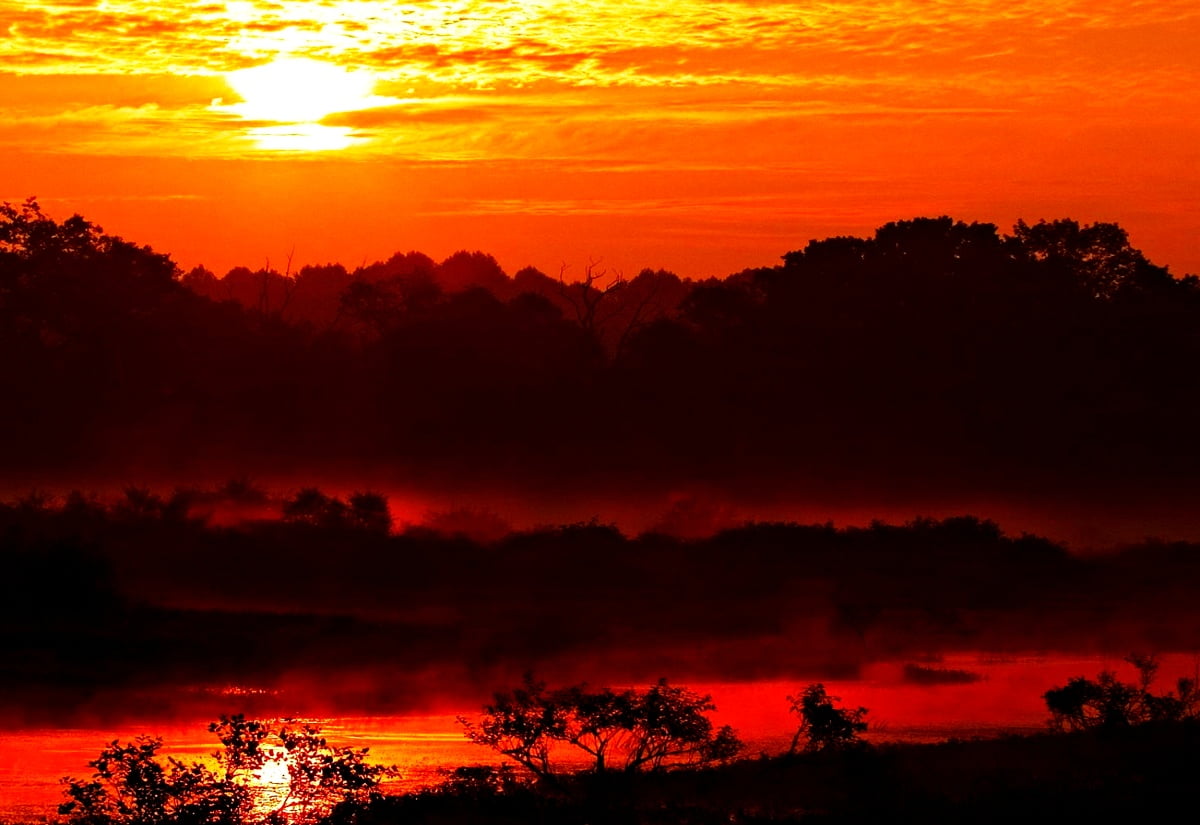 Upea Aurinko Auringonnousu Luonto Taustakuva Lataa Kuvat Ilmaiseksi