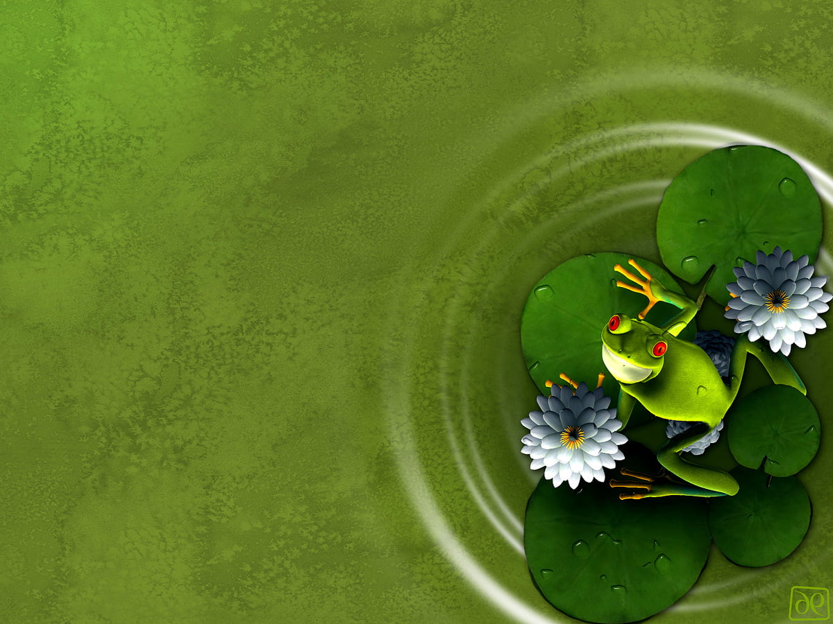 20+ Water lily wallpapers HD | Download Free backgrounds