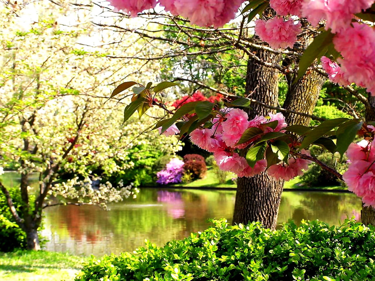 390+ Fonds d'écran beaux Printemps | Télécharger Gratuitement