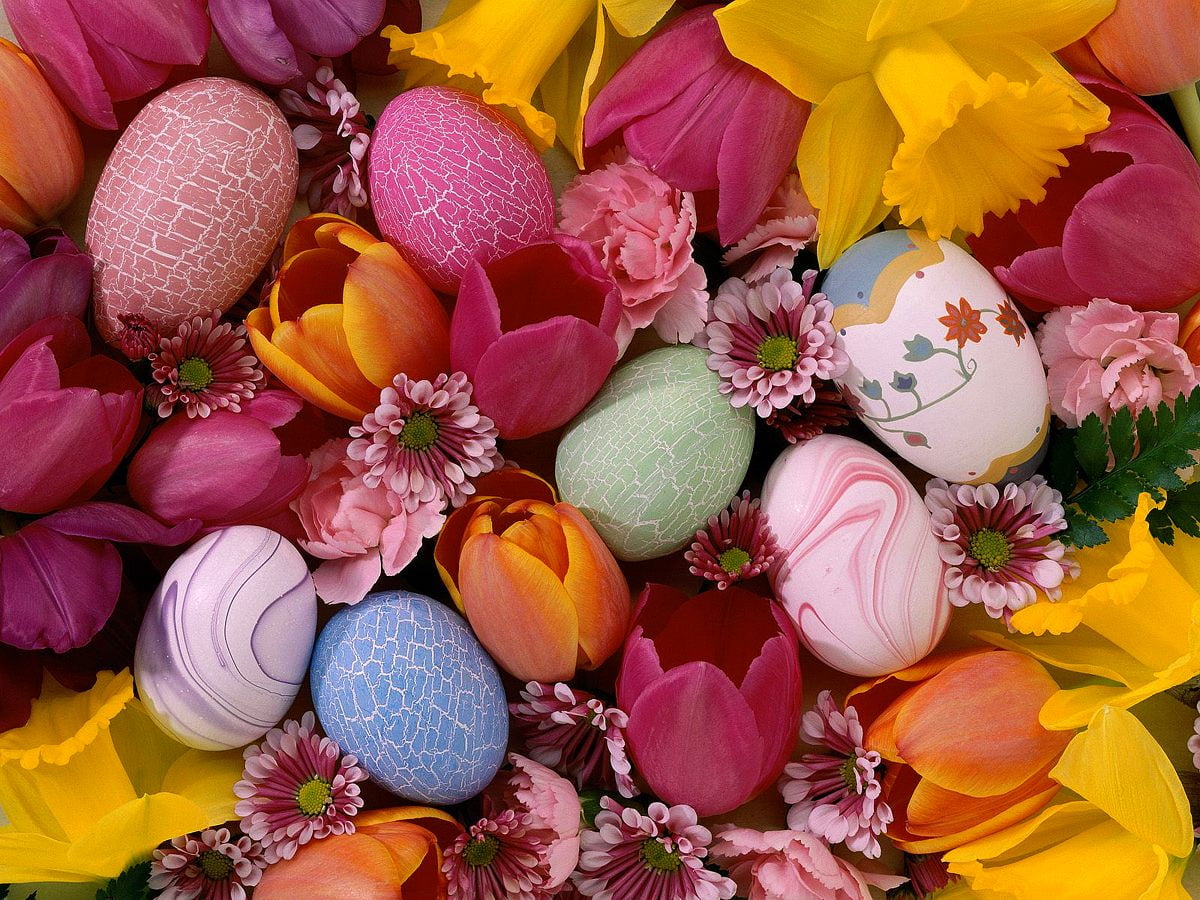 20+ Easter wallpapers HD | Download Free backgrounds