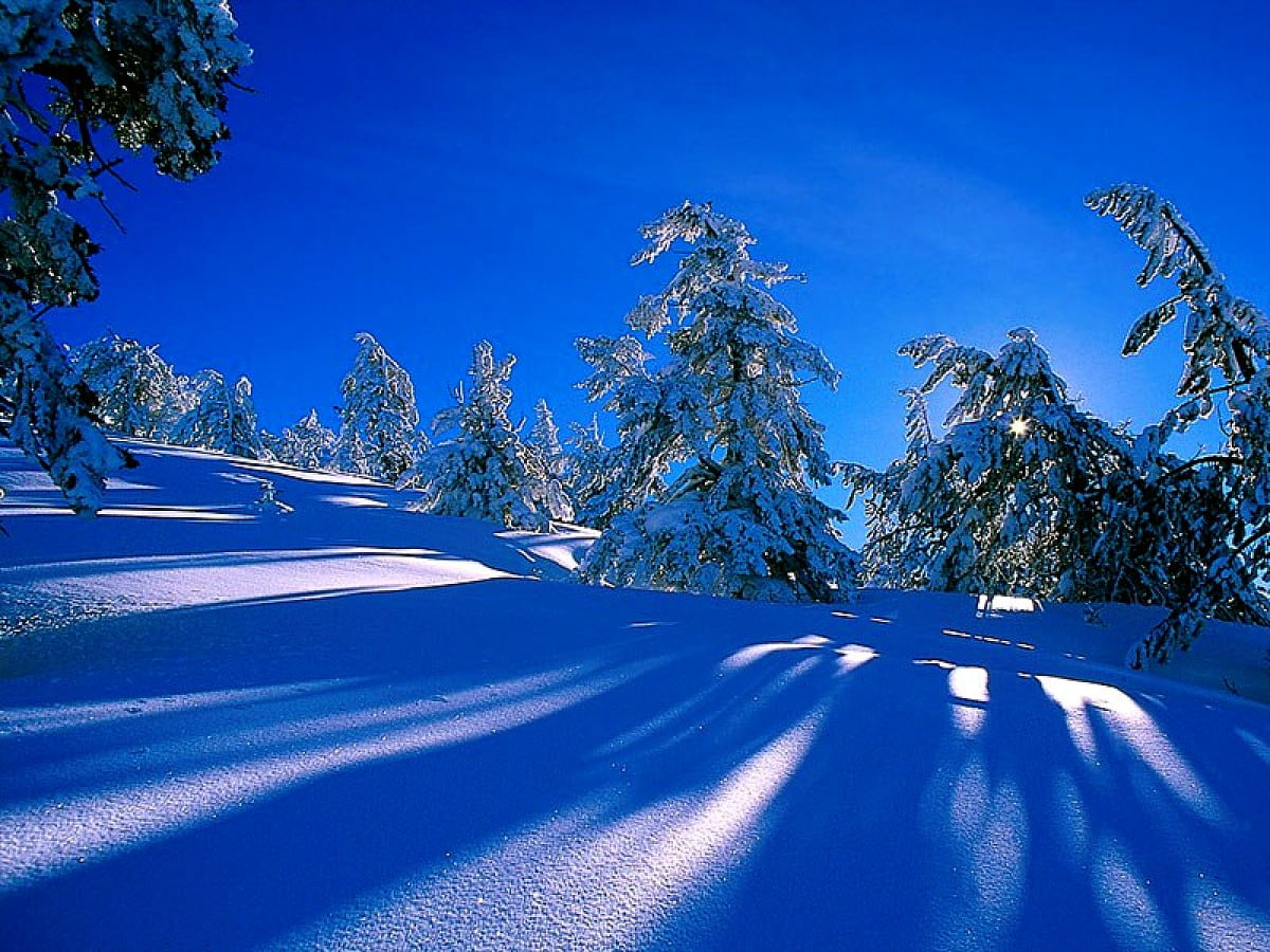 Cool Snow, Winter, Landscapes wallpaper | Download TOP Free wallpapers