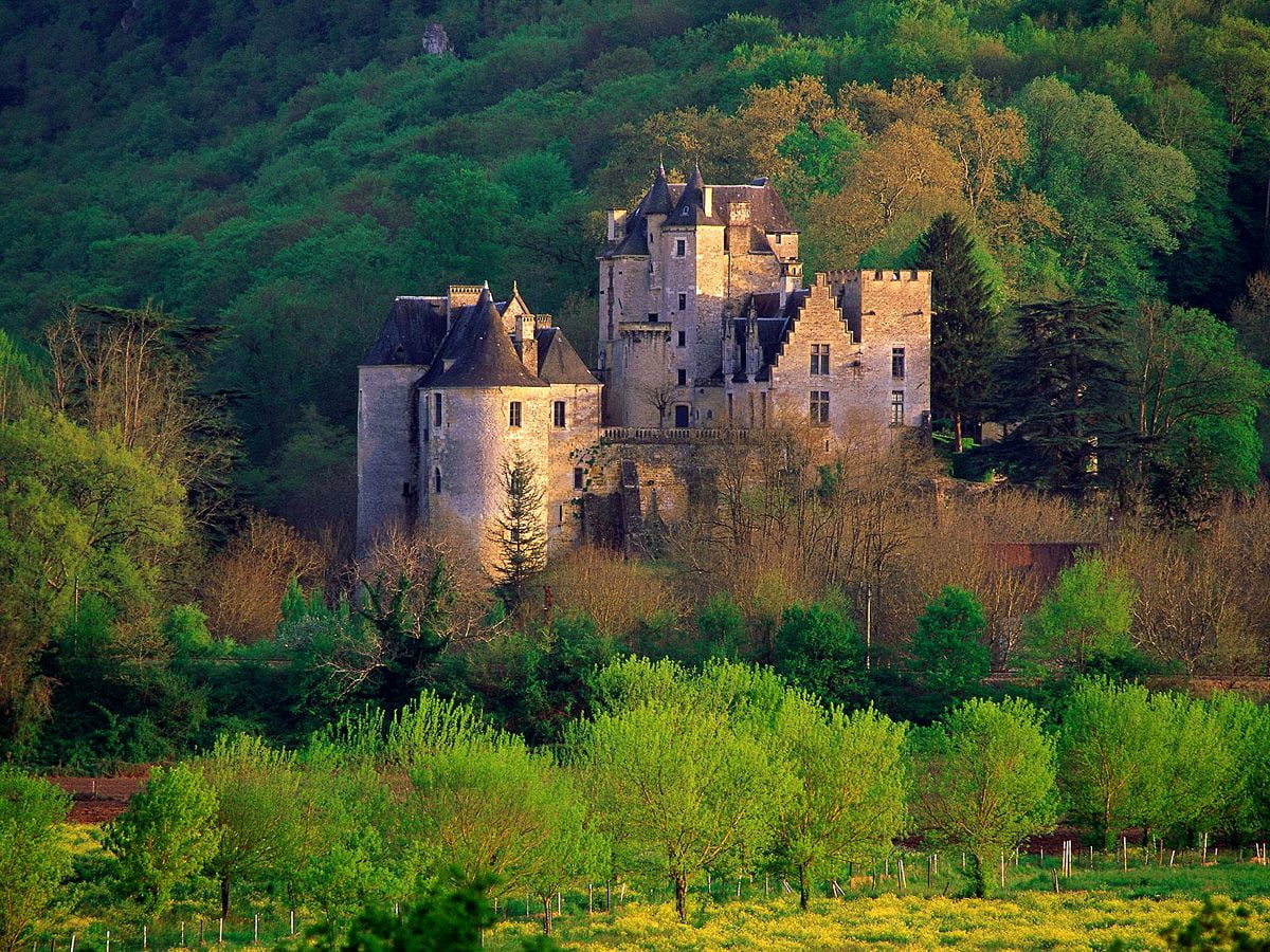 Castle on lush green forest — wallpaper (1600x1200)