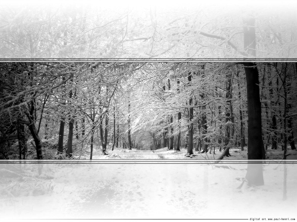 Panneau noir avec de la neige blanche : gratuit photo pour fond d'écran