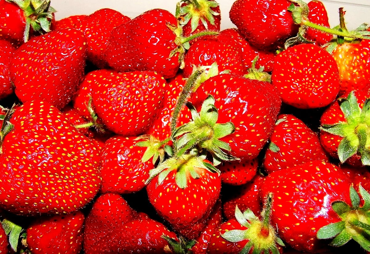 Red fruit - free background image 1600x1100
