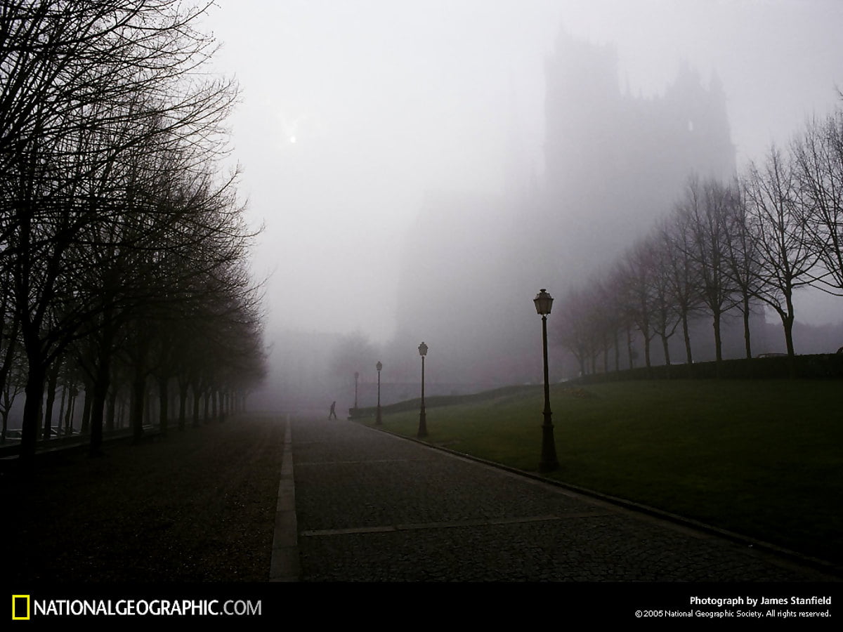 Beautiful wallpaper Garden, Mist, Fog 🔥 Download Best Free wallpapers