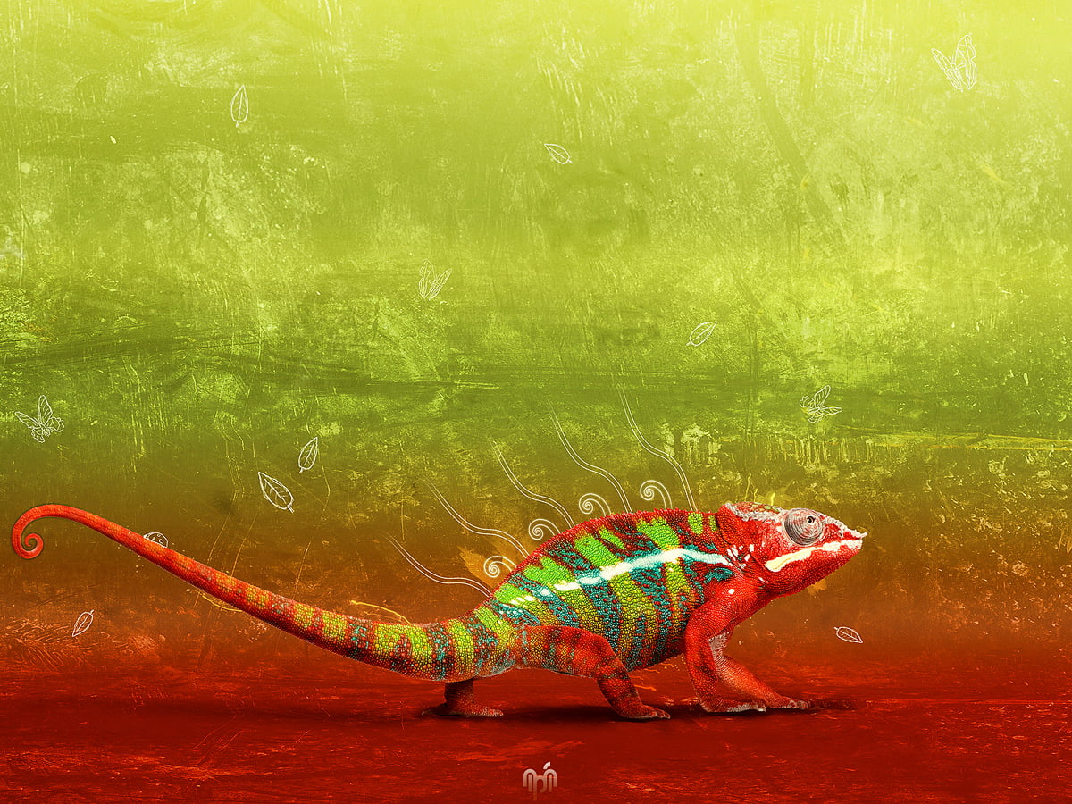 Art numérique, lézard, reptile, animaux, illustration - gratuit photo pour fond d'écran 1600x1200