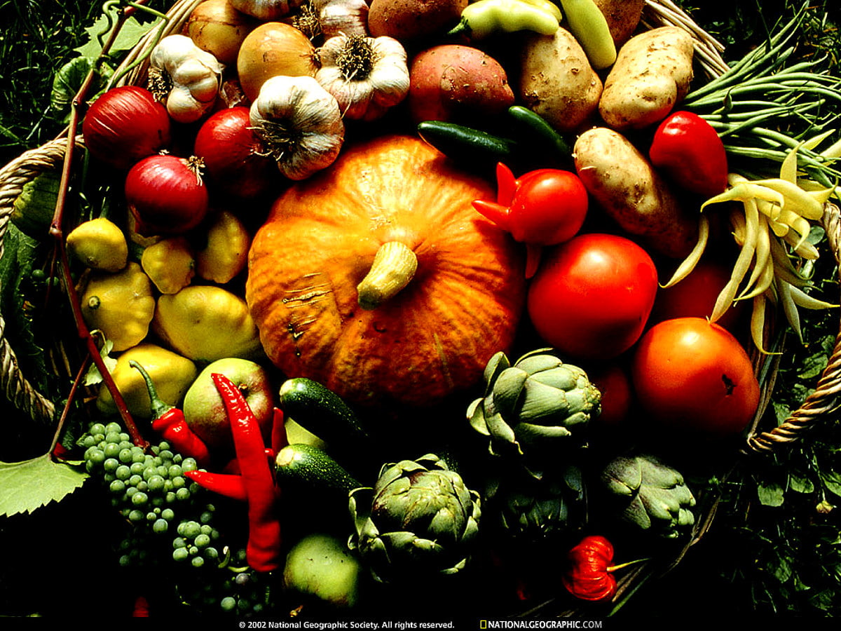 Fruits et légumes exposés / gratuit image pour fond d'écran 1024x768