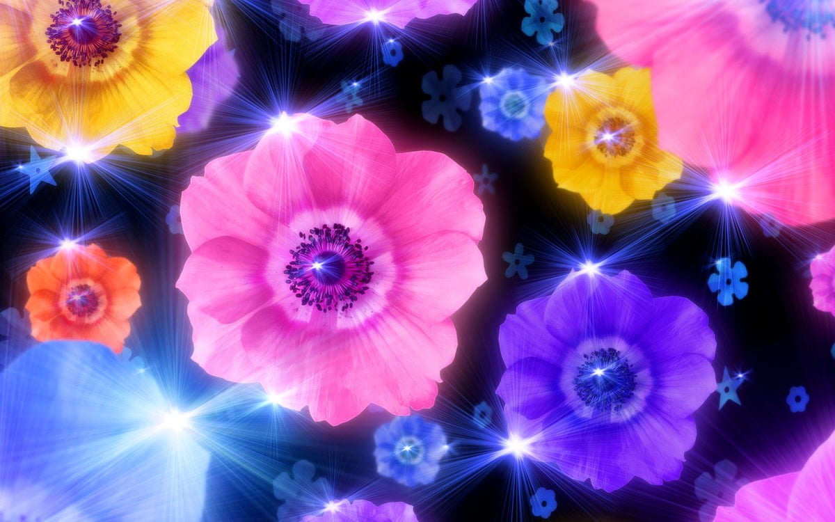 Wallpapers - hand holding flower (1600x1000)
