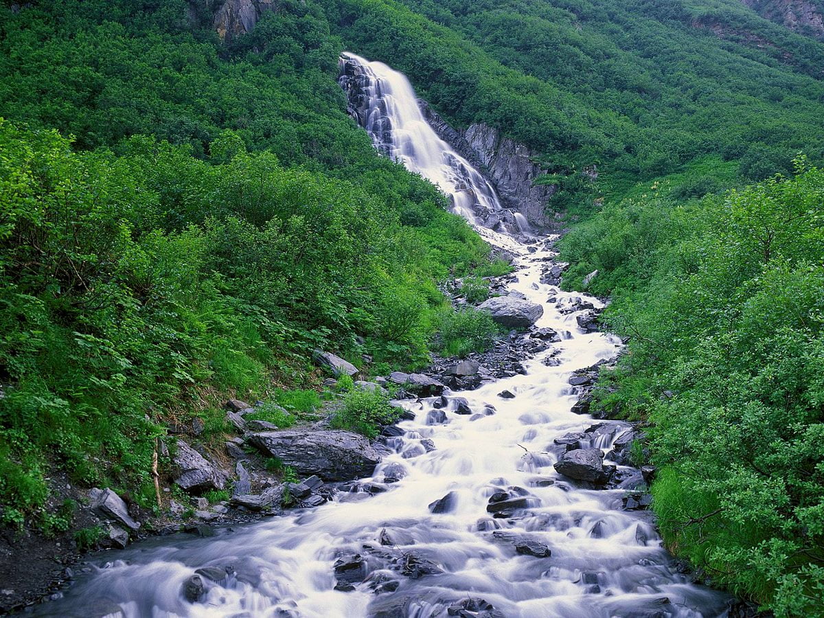 Flanc de colline à côté de la cascade