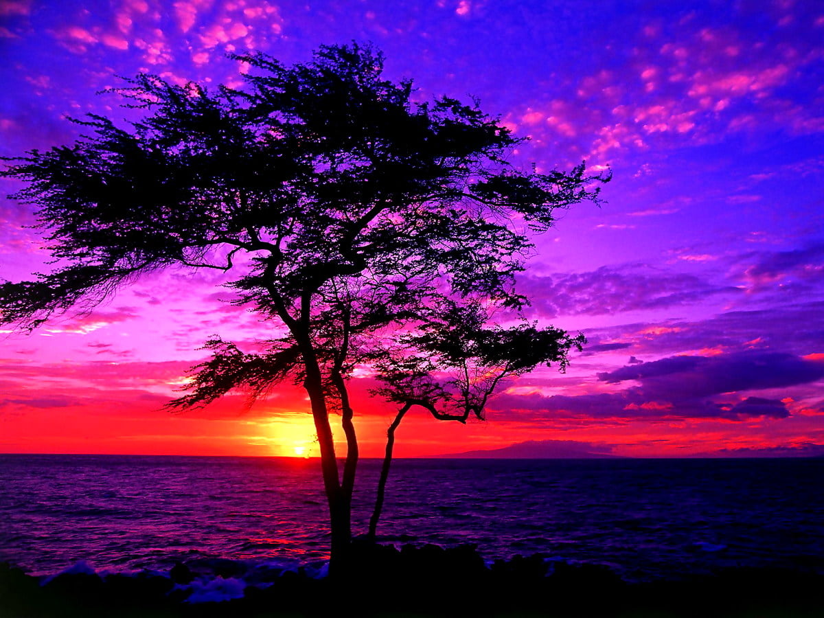 490+ Sol baggrunde HD | Download Gratis Baggrundsbilleder