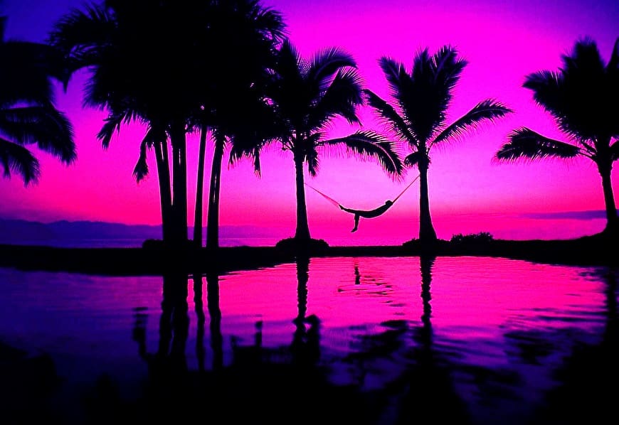Sunset Palm Tree Ocean  Free photo on Pixabay  Pixabay