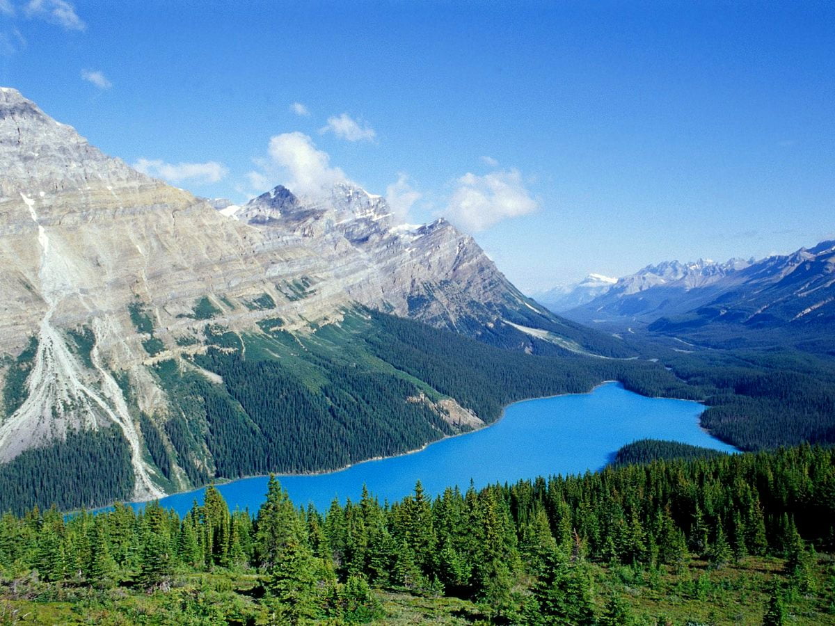 Snow covered mountain and Peyto Lake (Banff National Park, Alberta, Canada) - background