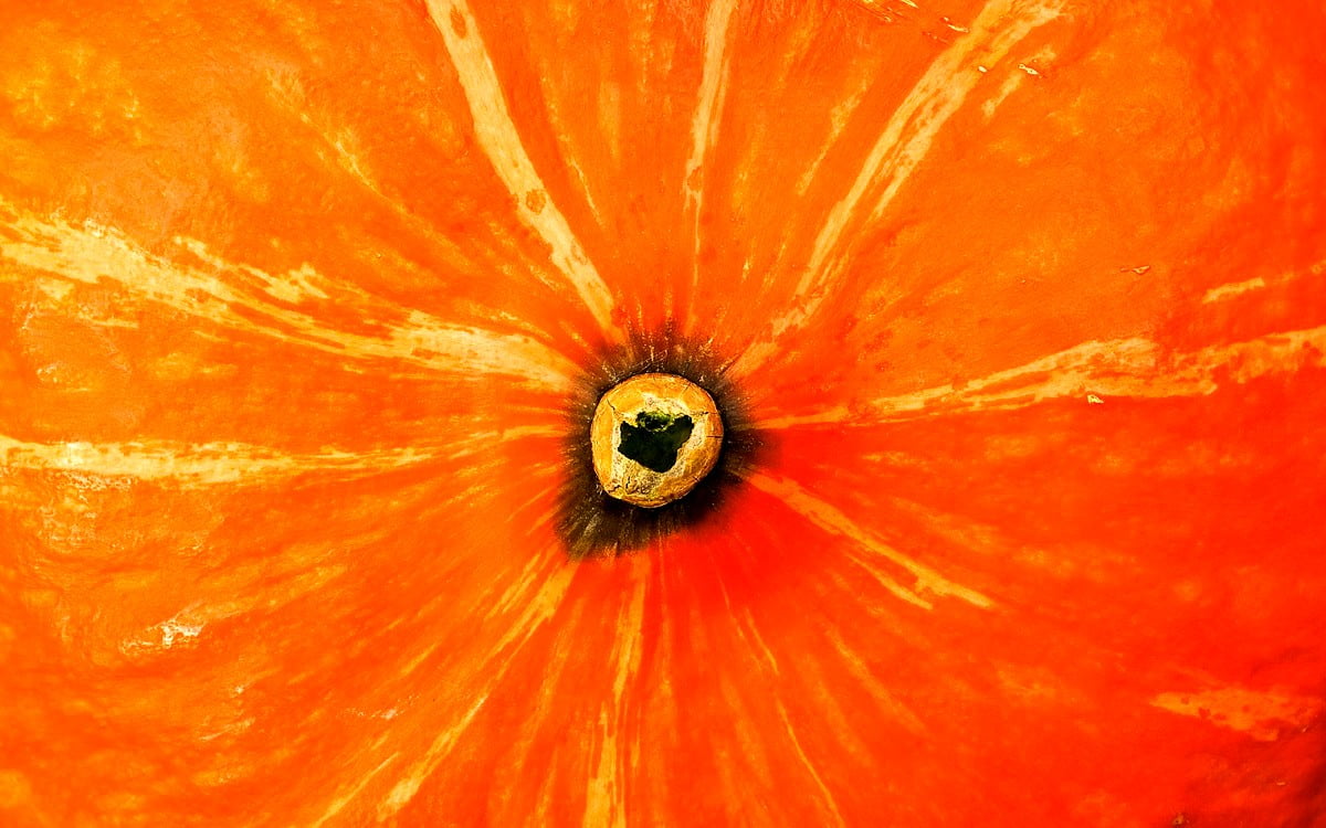 Orange fruit — wallpaper (1600x1000)