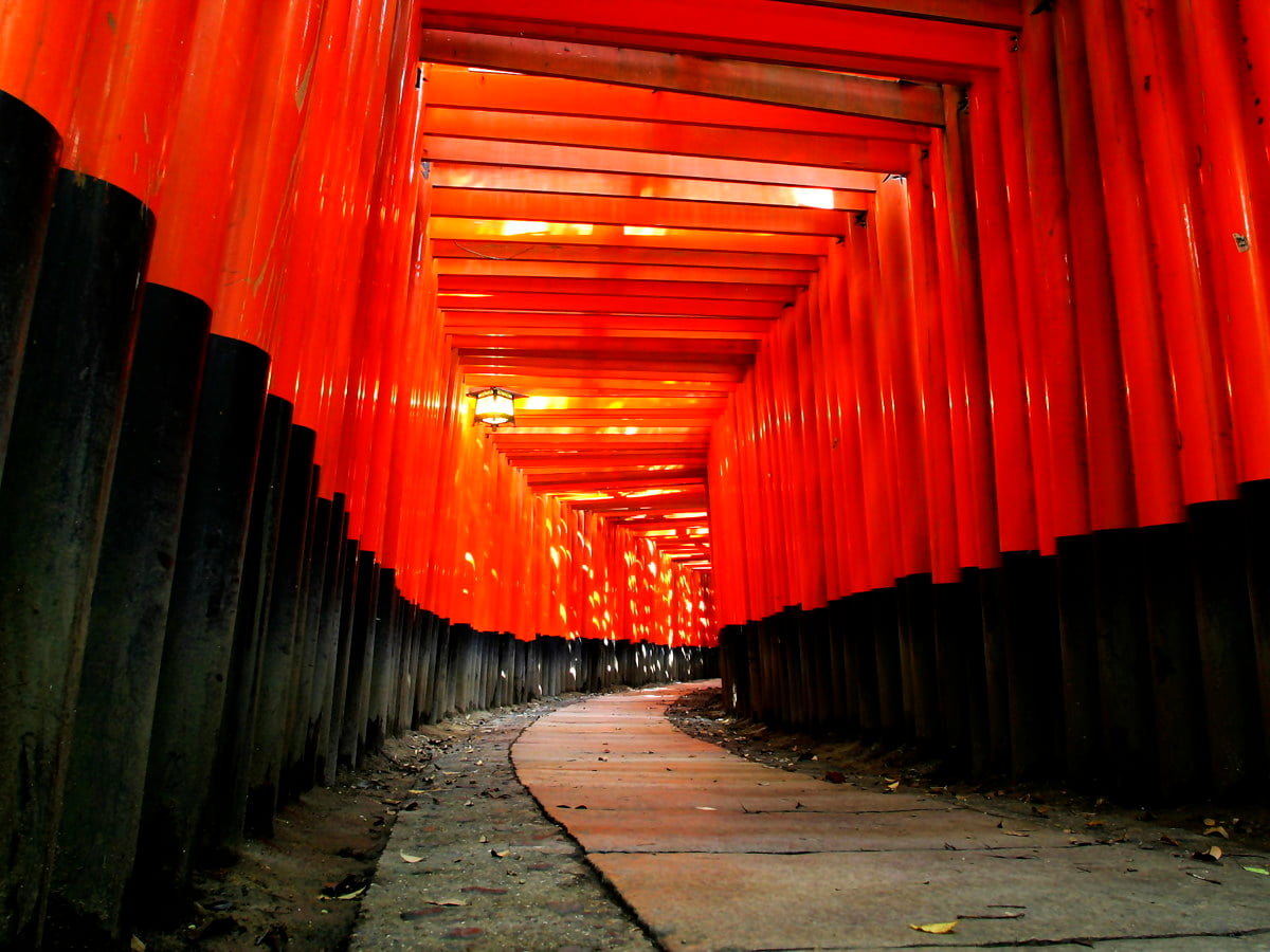 Interior, torii, orange, line, architecture / free screen wallpaper