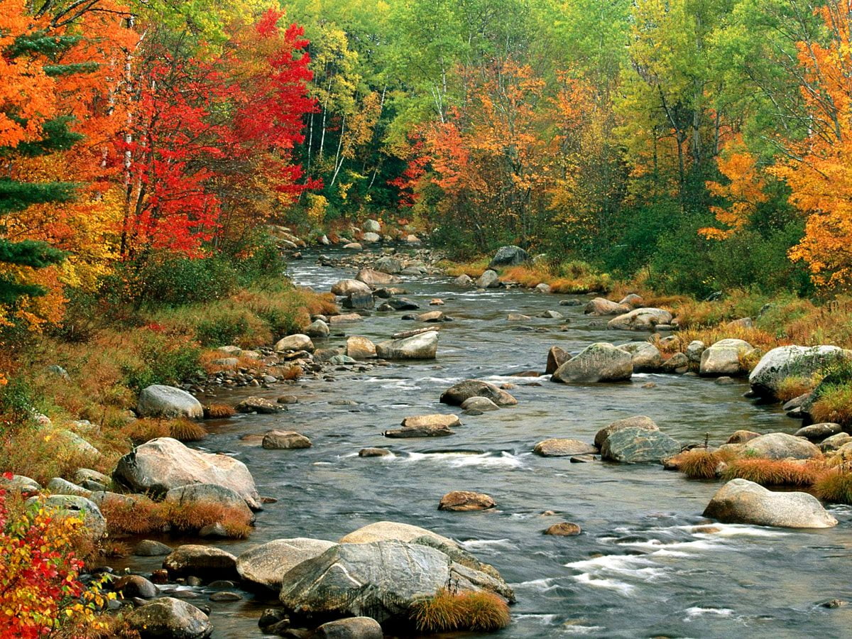 340+ Fondos de pantalla - Otoño HD |Fondos Gratis